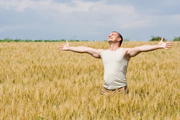 Homme dans le champ de blé — Photo