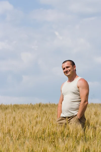 Uomo nel campo di grano — Foto Stock