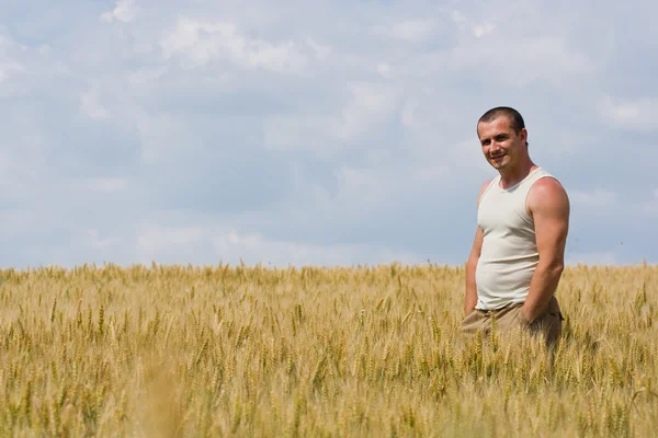 Muž v pšeničném poli — Stock fotografie