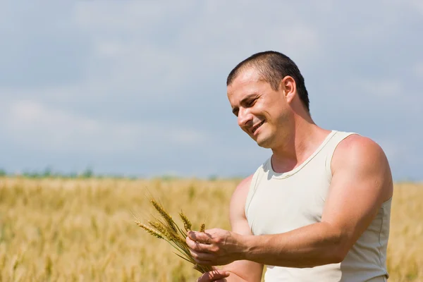 Человек на пшеничном поле — стоковое фото
