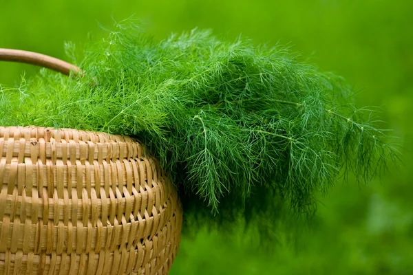 Basket with dill — Stock Photo, Image