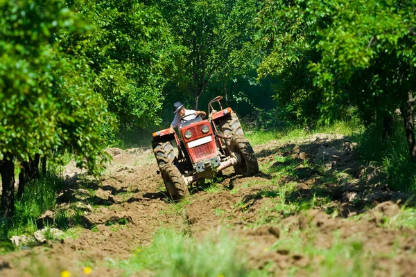 Plowing — Stock Photo, Image