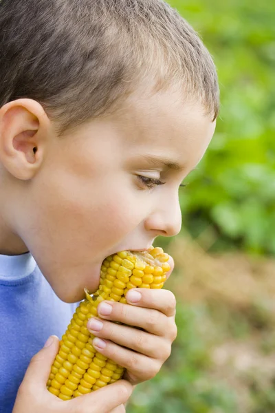 Хлопчик їсть кукурудзи — стокове фото