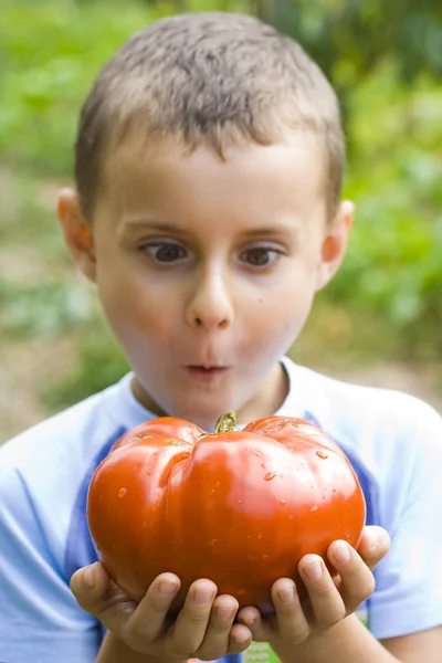 巨大なトマトを持つ少年巨型番茄的男孩 — ストック写真