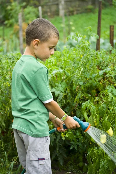 仕事で小さい庭師 — ストック写真