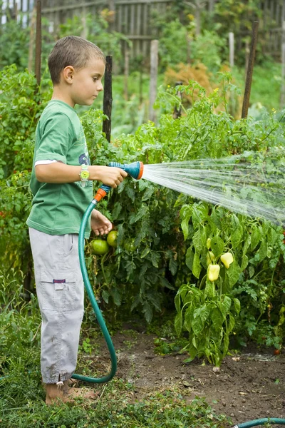 Little gardener at work — Stock Photo, Image