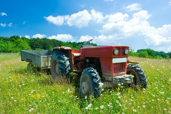 Bir çiçek tarlasında traktör — Stok fotoğraf