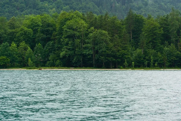 湖と森 — ストック写真