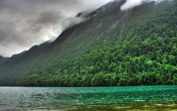 Paesaggio con lago e foresta — Foto Stock