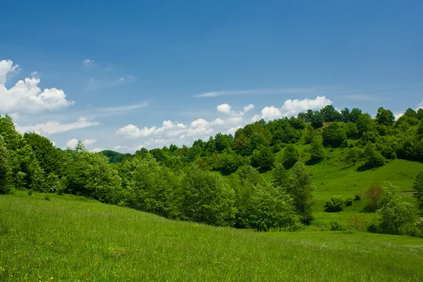 Paesaggio — Foto Stock