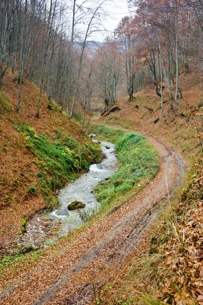 Landscape with road and creek — Stock Photo, Image