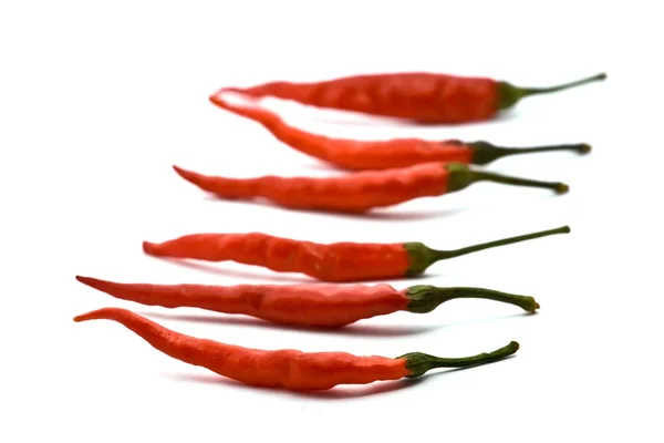 Row of hot peppers isolated — Stock Photo, Image