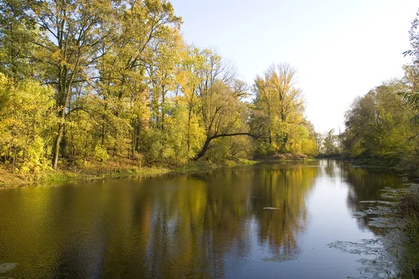 stock image Autum river