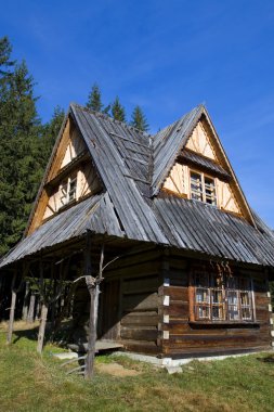 Old traditional house in Zakopane clipart