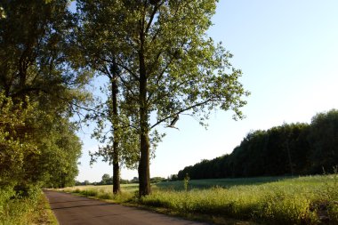 dorp weg en stork