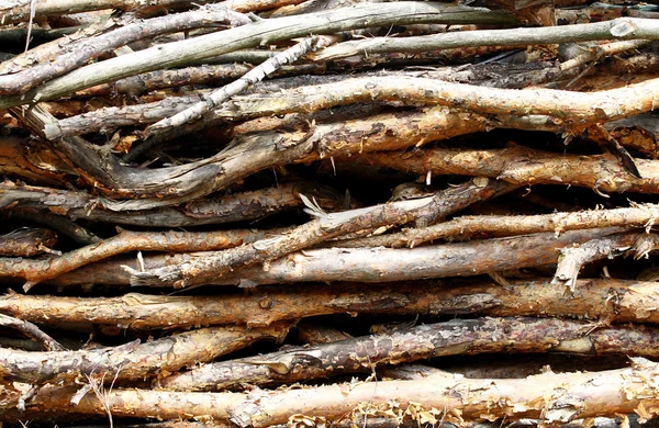Partes de madeira — Fotografia de Stock