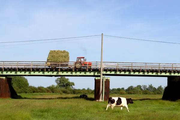 Tractor on the bridge — Stock Photo, Image