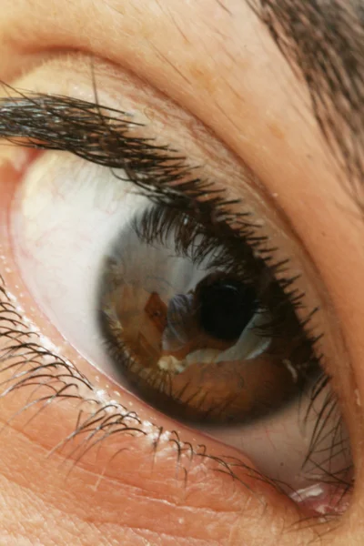 Macro ocular — Fotografia de Stock