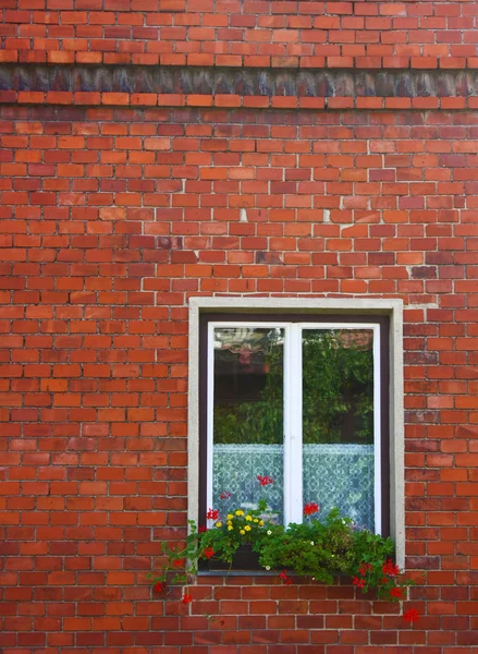 stock image Window on brick wall