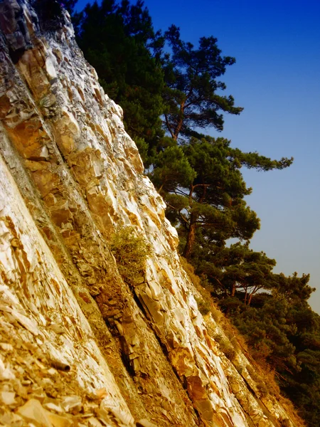 Marble rocks and pine trees — Stock Photo, Image
