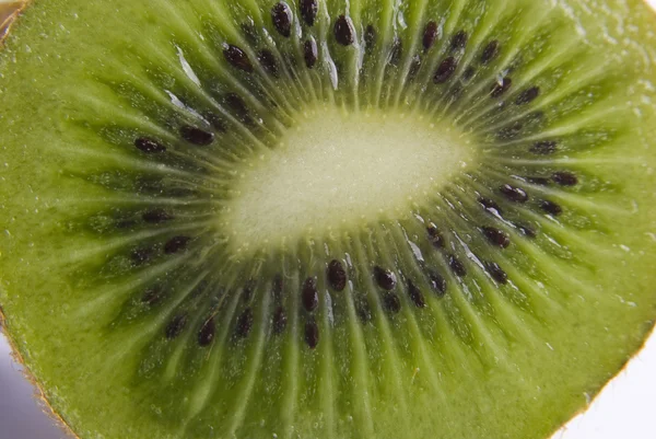 Närbild kiwi isolerade — Stockfoto