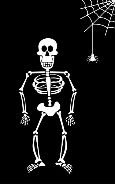 Halloween Skeleton on Black Background. — Stock Vector