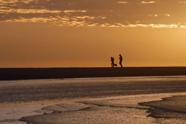 Couple walking on the beach — Stock Photo, Image