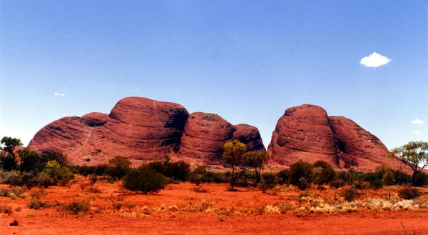 Olgas