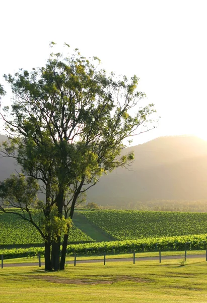Hunter Valley