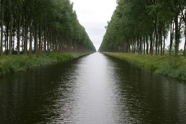 stock image River in brussel