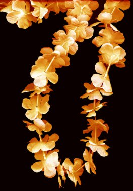 Flower leis clipart