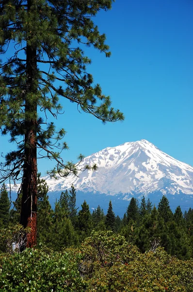 Blick auf den Mount Shasta — Stockfoto