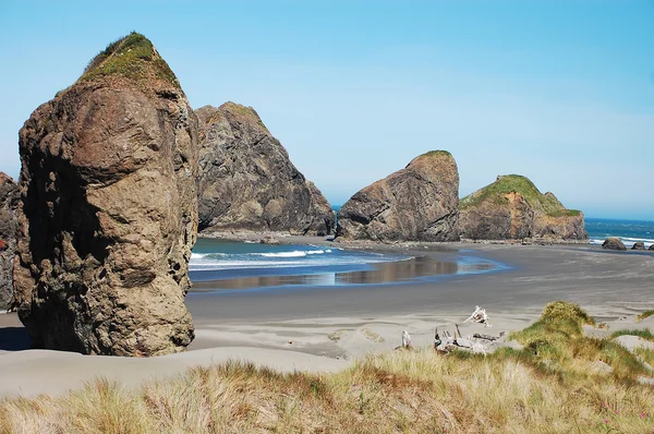 stock image Oregon coast