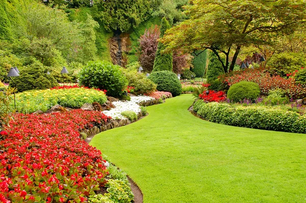 Jardín exuberante en primavera — Foto de Stock