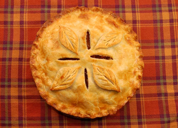 Fresh apple pie — Stock Photo, Image