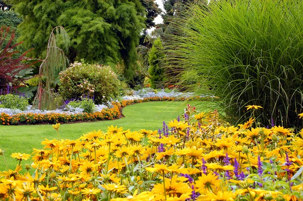 Jardín de verano en plena floración — Foto de Stock