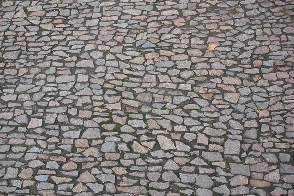 Pedra estrada pavimentada — Fotografia de Stock