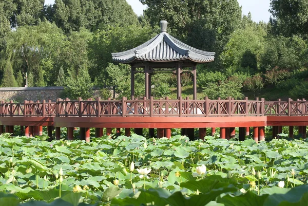 중국 정원 — 스톡 사진