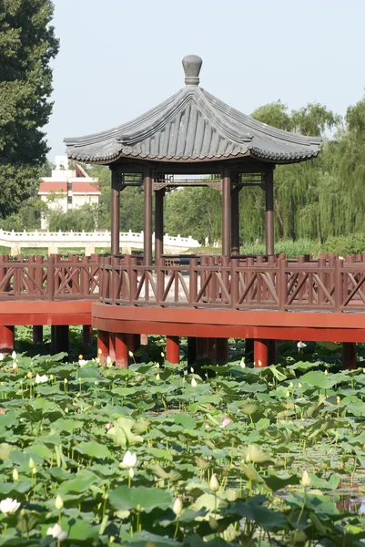 Chinesischer Garten — Stockfoto
