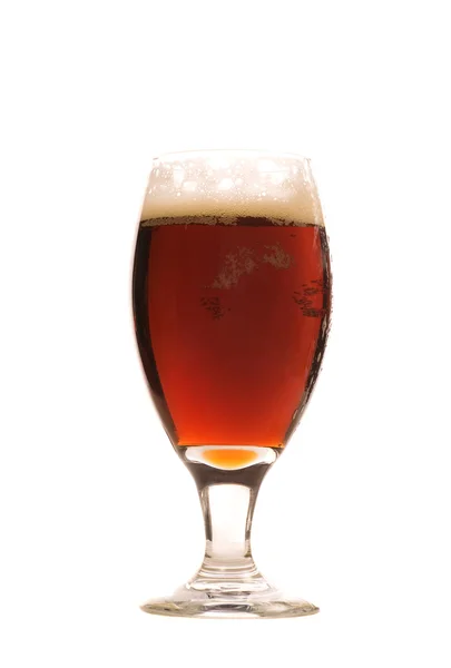 stock image Glass of Beer