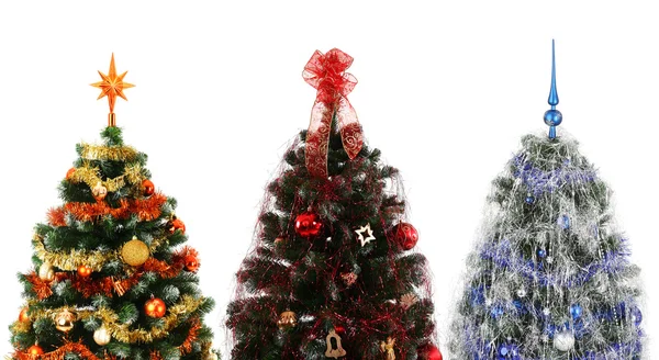 Drie kerstbomen — Stockfoto