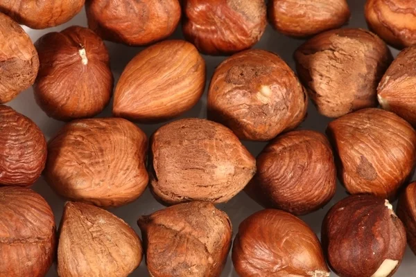 Stock image Hazel nuts