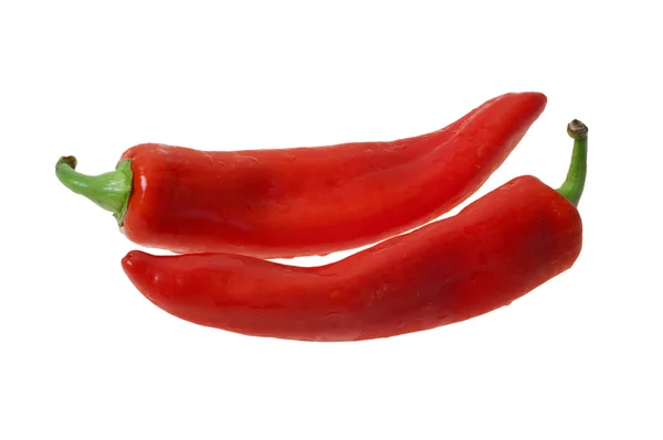 Two Red Peppers — Stock Photo, Image