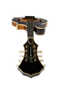 Bluegrass Mandolin