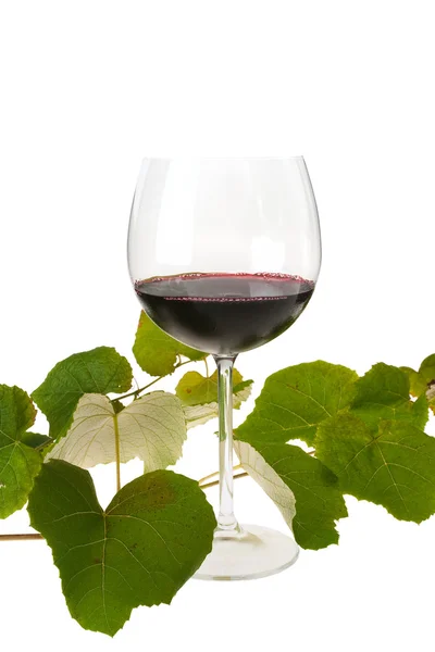 Kieliszek czerwonego wina i winorośli pozostawia — Zdjęcie stockowe
