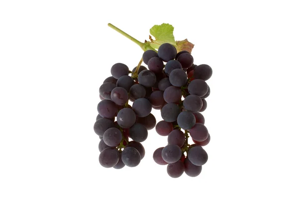Красный столовый виноград — стоковое фото