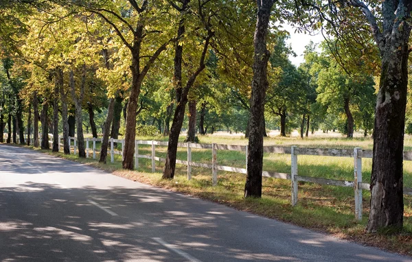 stock image Farm Fence