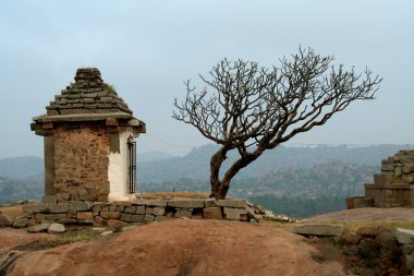 ağaç ve Tapınak