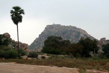 Ağaçlar ve kayalık tepe