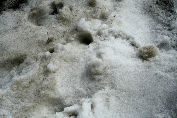 Grani di neve — Foto Stock